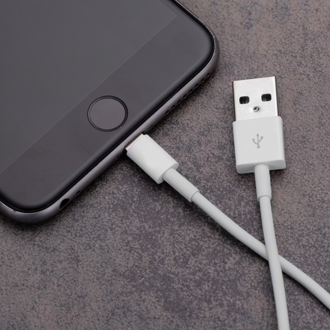 Cabo de Dados Lightning com Logo